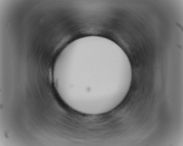X0000097510020200803142051