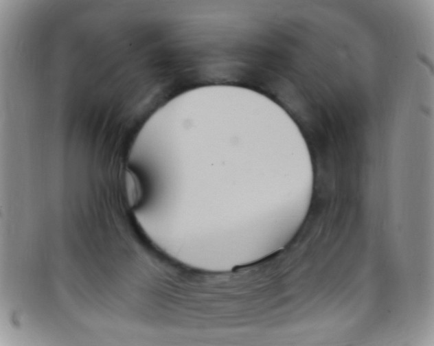 X0000097510021200803142051