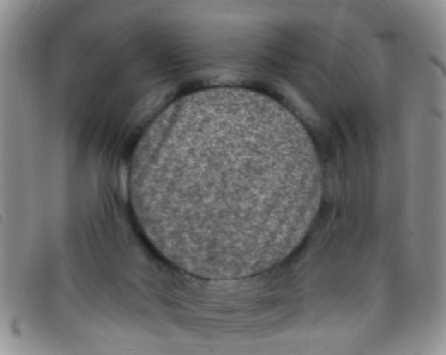 X0000097510022200803142051