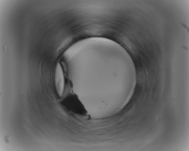 X0000097510023200803142051