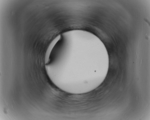 X0000097510025200803142051