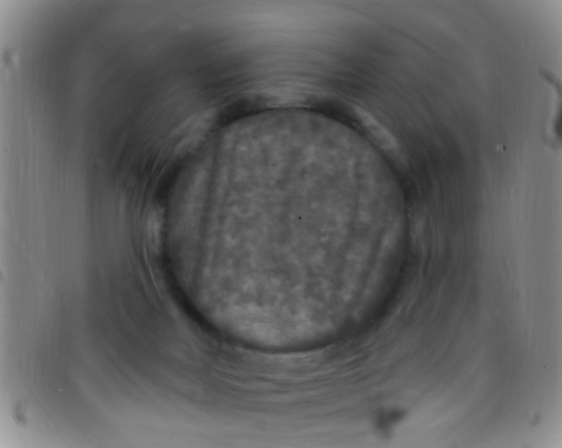 X0000097510026200803142051