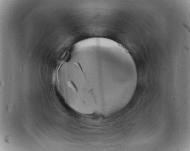 X0000097510027200803142051