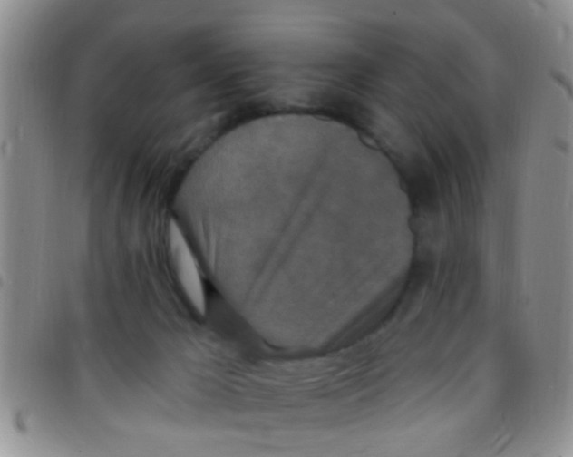 X0000097510029200803142051
