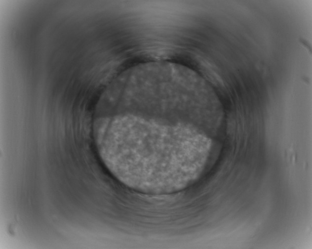 X0000097510030200803142051