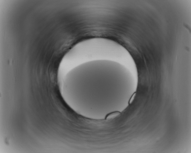X0000097510031200803142051