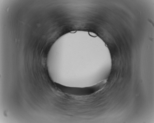 X0000097510033200803142051