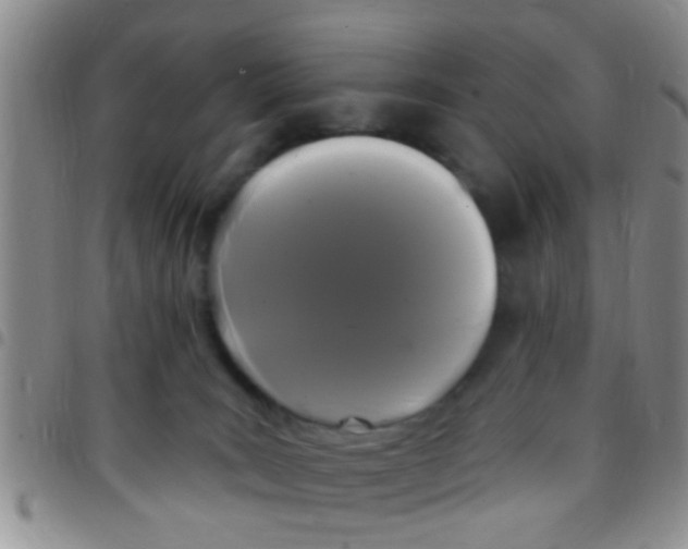 X0000097510035200803142051