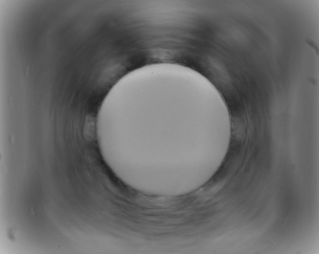 X0000097510036200803142051
