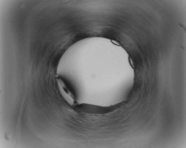 X0000097510037200803142051