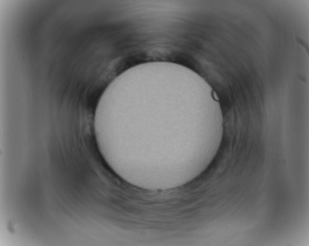 X0000097510038200803142051