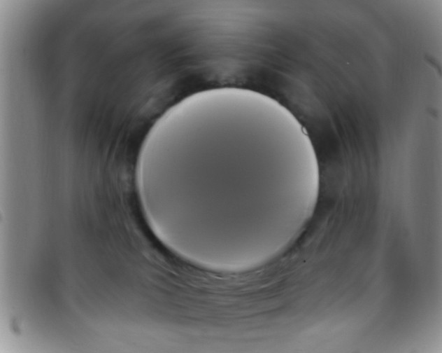 X0000097510039200803142051