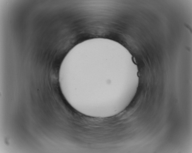 X0000097510040200803142051