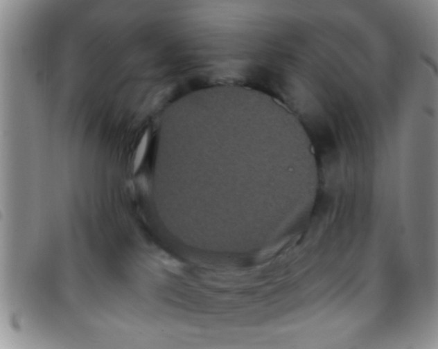 X0000097510041200803142051