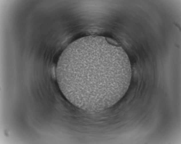 X0000097510042200803142051
