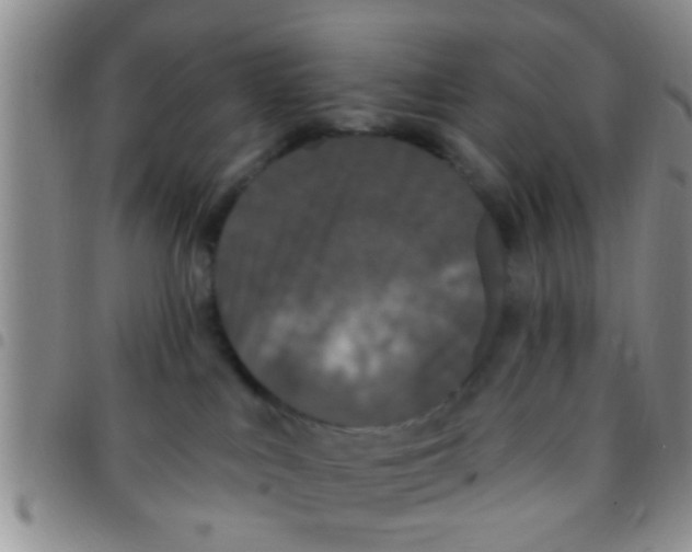 X0000097510043200803142051