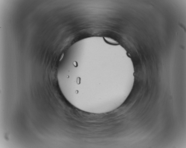 X0000097510044200803142051