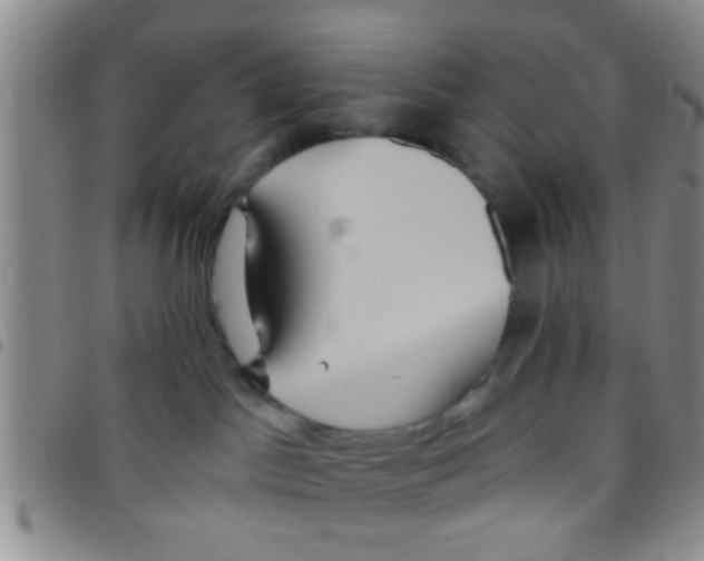X0000097510045200803142051