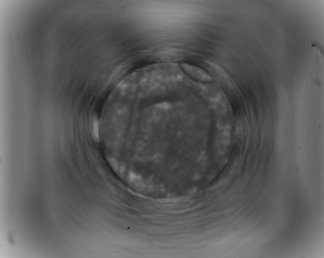 X0000097510046200803142051