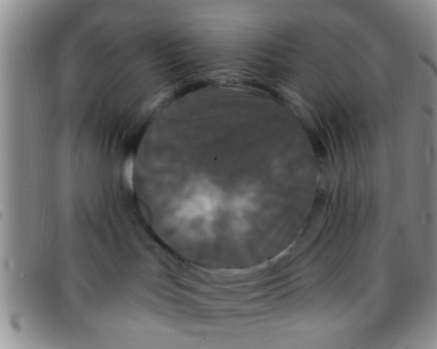 X0000097510047200803142051
