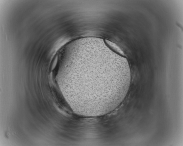 X0000097510050200803142050