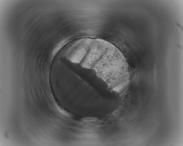 X0000097510051200803142050