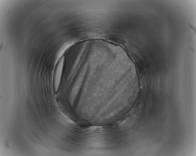 X0000097510052200803142050