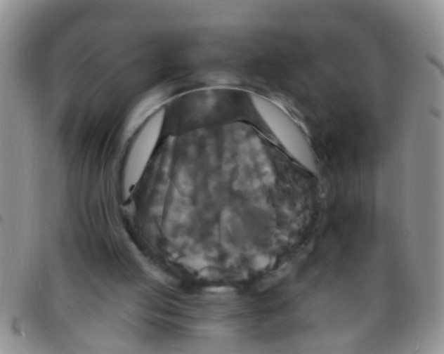 X0000097510053200803142050
