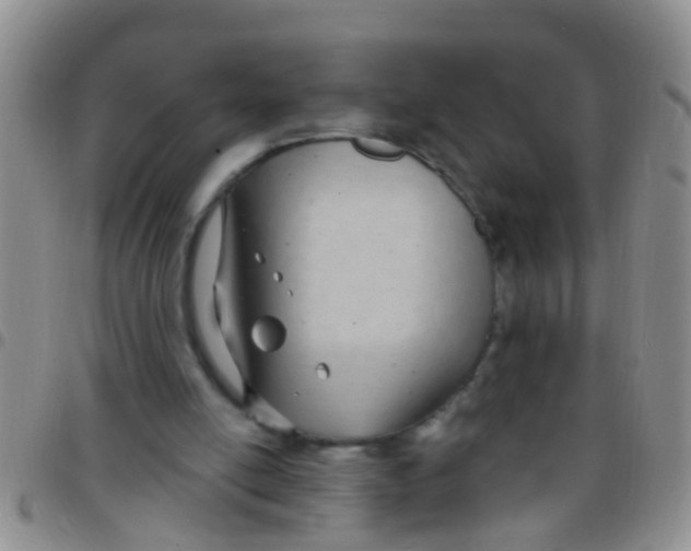 X0000097510054200803142050