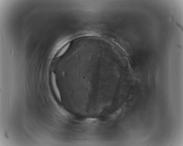 X0000097510055200803142050