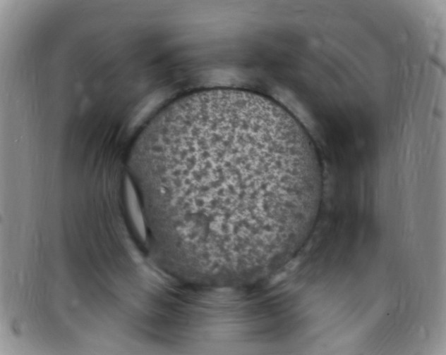 X0000097510058200803142050