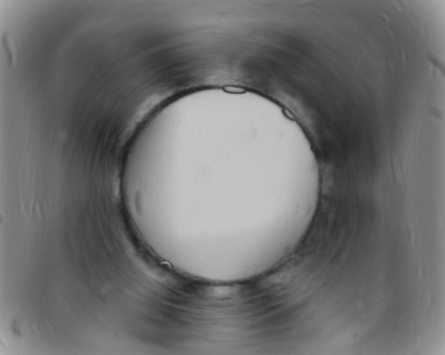 X0000097510060200803142050