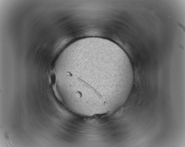 X0000097510062200803142050