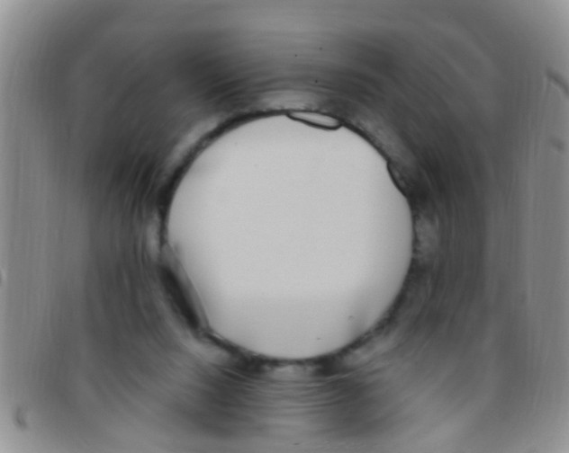 X0000097510064200803142050
