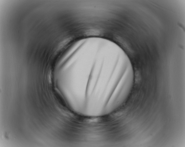 X0000097510068200803142050