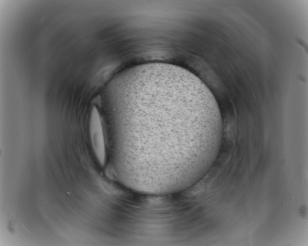 X0000097510070200803142050