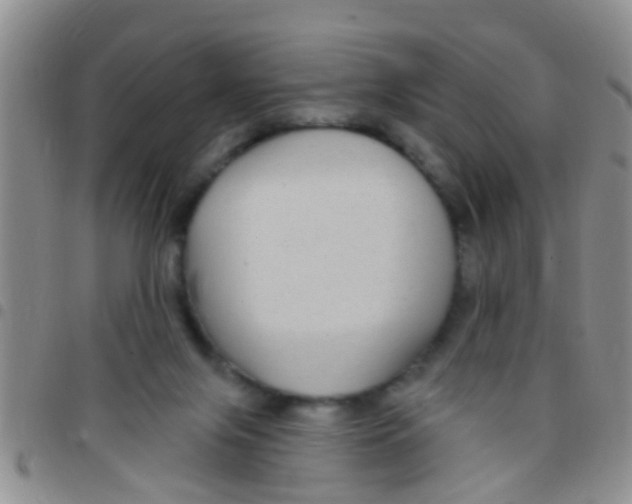 X0000097510071200803142050