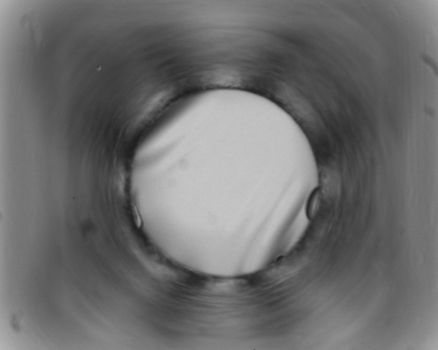 X0000097510072200803142050