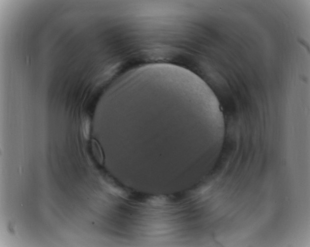 X0000097510076200803142050