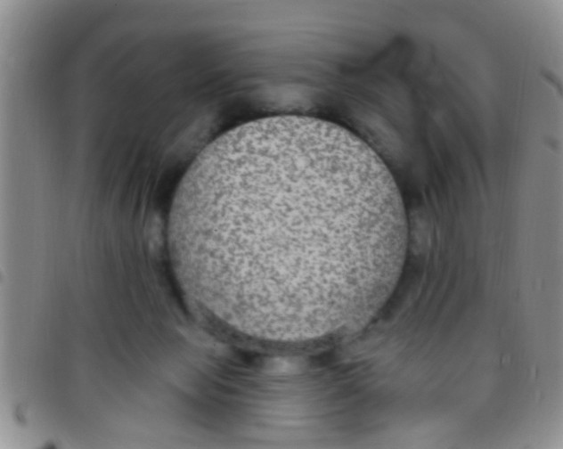 X0000097510077200803142050