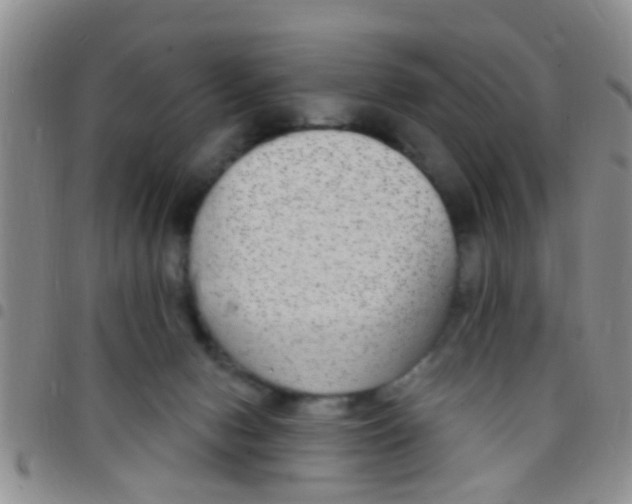 X0000097510078200803142050