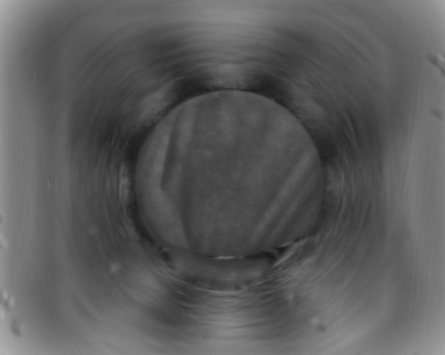 X0000097510080200803142050