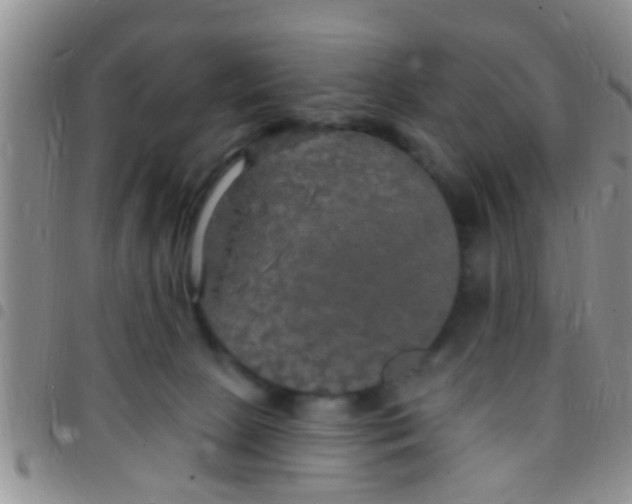 X0000097510081200803142050