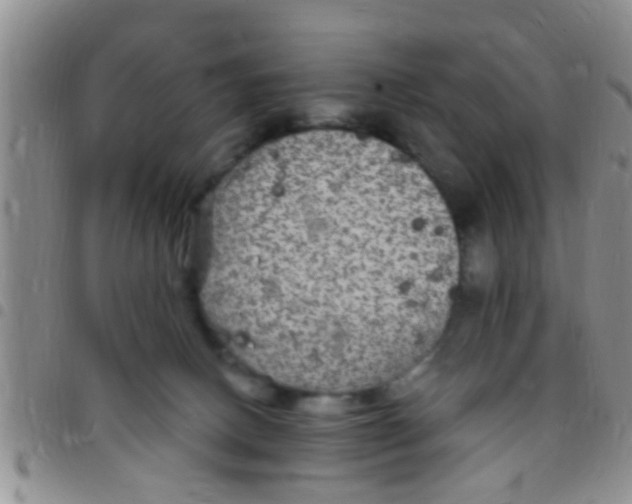X0000097510082200803142050