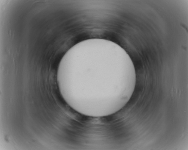 X0000097510083200803142050