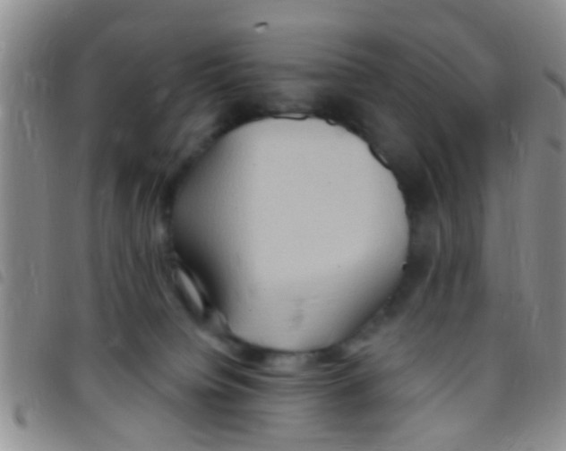 X0000097510084200803142050