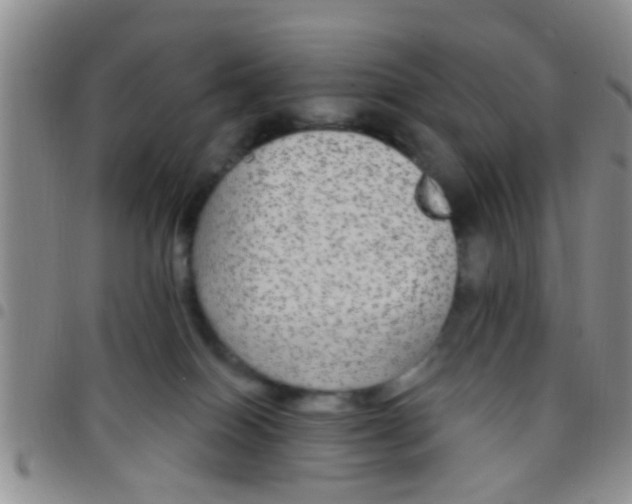 X0000097510086200803142050