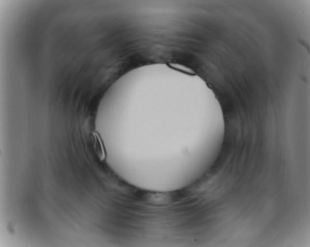 X0000097510088200803142050