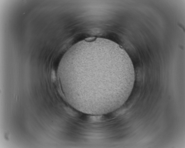 X0000097510089200803142050