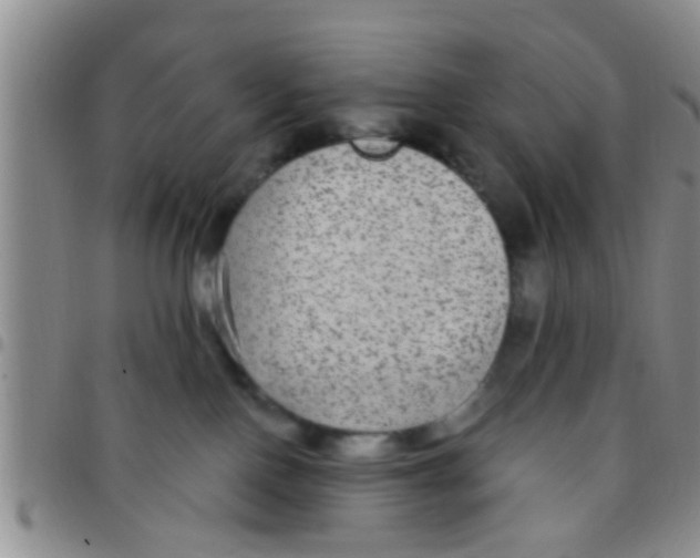 X0000097510090200803142050